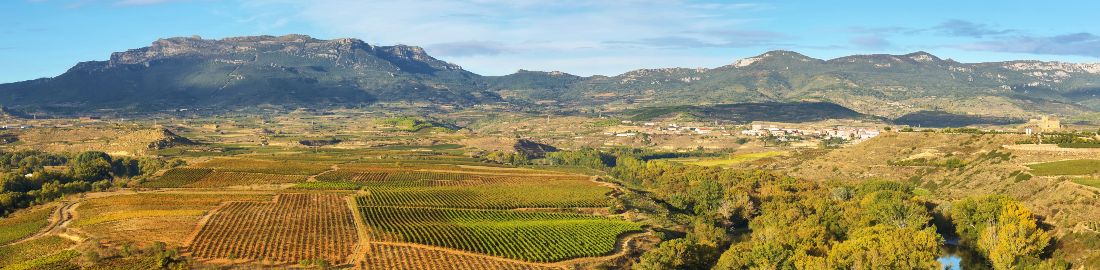 Viñedos en La Rioja, España